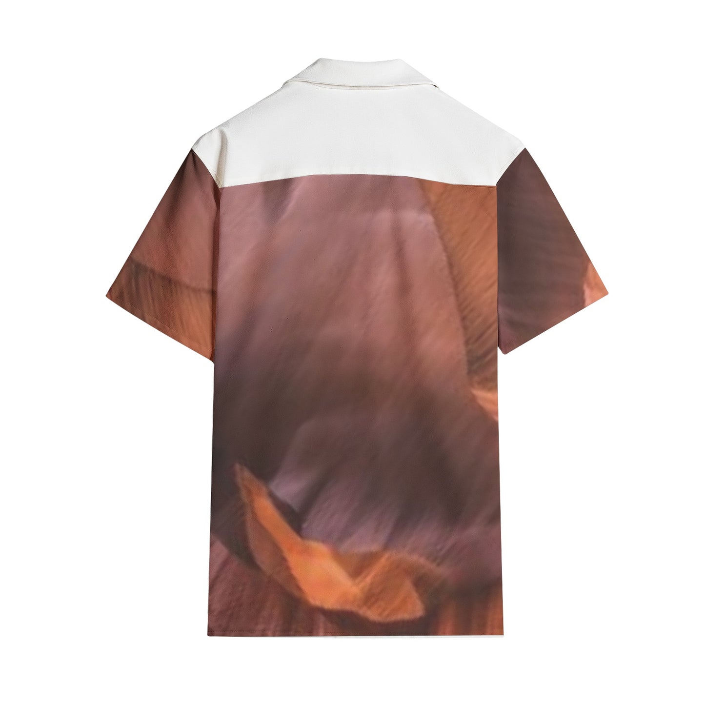 Multicolored Men's All-over print Short Sleeve Shirts