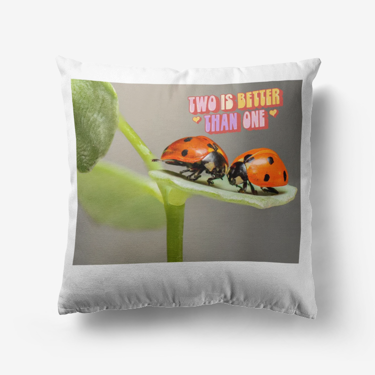 Two Are Better Than One Home Goods Premium Hypoallergenic Throw Pillow
