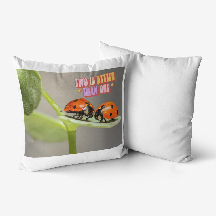 Two Are Better Than One Home Goods Premium Hypoallergenic Throw Pillow
