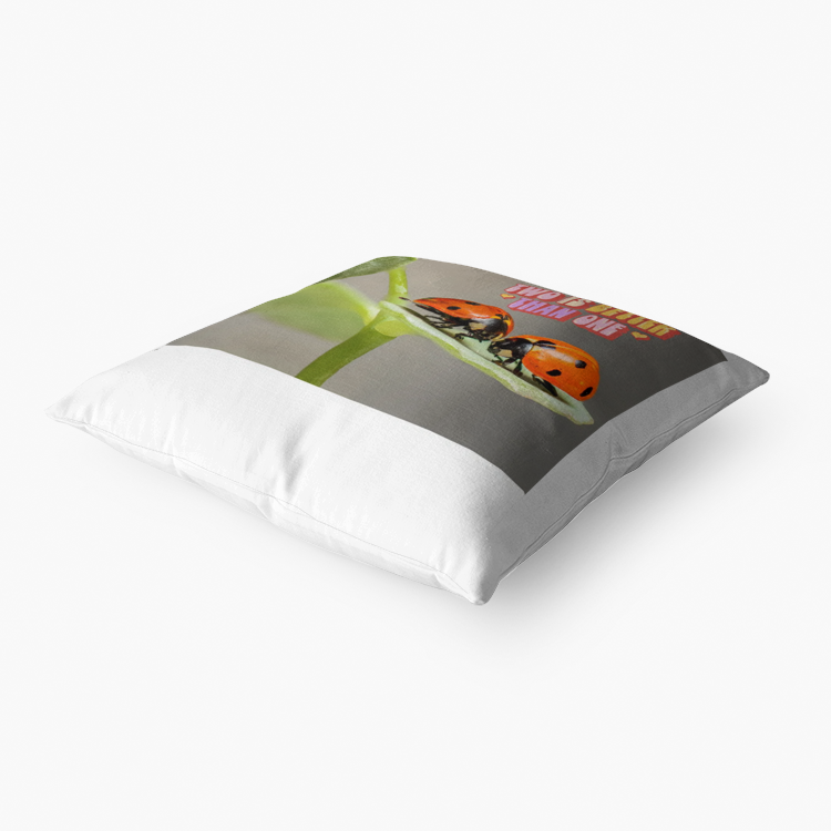 Two Are Better Than One Home Goods Premium Hypoallergenic Throw Pillow